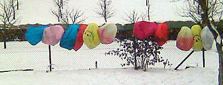 lampiony-2010.jpg